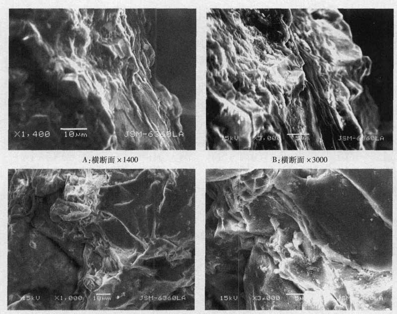 ���ʯɨ��羵ͼ